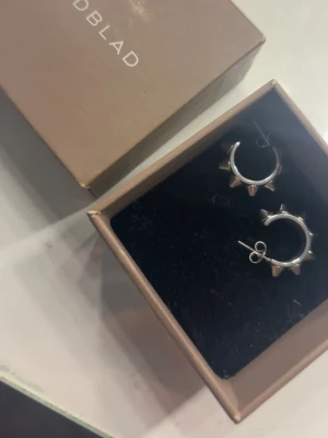 Edblad örhängen  - Jätte fina örhängen från Edblad! Bara använda en gång💗