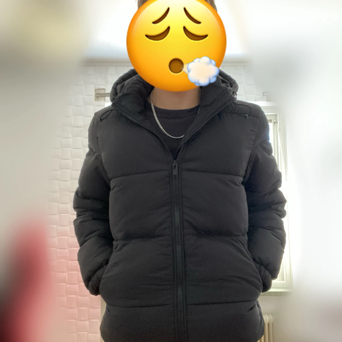 Dunjacka Dickies - 2