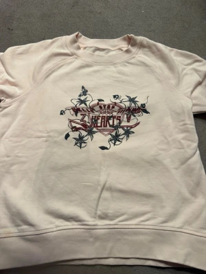 Ljusrosa sweatshirt från Zadig & Voltaire - Säljer en ljusrosa sweatshirt från Zadig & Voltaire i storlek S/12. Tröjan har ett tryck med texten 'Stop Breaking Hearts' och coola blommor och fjärilar på bröstet. Rund hals och långärmad, tillverkad i mjuk bomull. Perfekt för dig som gillar statement-plagg.