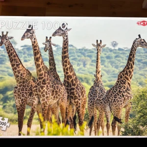 Pussel - Pussel med giraffer, 1000 bitar