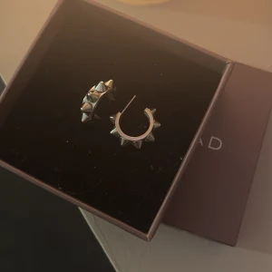 Silvriga örhängen från Edblad  - Säljer mina silvriga örhängen från Edblad med nitar. Säljer pågrund utav att jag använder mig av guld. Ser ut som nya och inga märken på användning