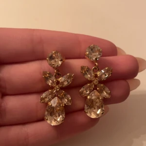 Carolina Svedbom örhängen  - säljer dessa örhängen från Carolina Svedbom, köpt för 1495kr. Nyskick