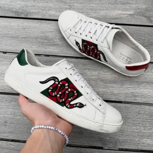 Gucci Ace snake - Gucci ace i riktigt fint skick! Endast skor. Inga defekter. Us 8 passar 42/43. Kontakta mig för fler frågor och funderingar!