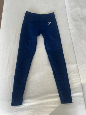 Blå seamless leggings från Gymshark - Säljer ett par blå seamless leggings från Gymshark med hög midja och diskret logga på höften. Stretchigt material som sitter tight och formar sig efter kroppen. Perfekta för träning eller chill. Snygg struktur i tyget för extra stilpoäng.
