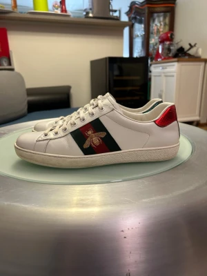 Gucci skor - Gucci Ace sneakers i vitt skinn, skorna är i super skick. Bara skor går med, pris kan diskuteras. Skriv om ni har några frågor! 😇