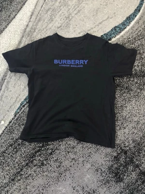 Svart burrberry T-shirt  - Den är lite använd men det finns inga tecken på att den är sliten eller något sånt                                     Storleken är S.                                                                     Det går alltid att diskutera priset 
