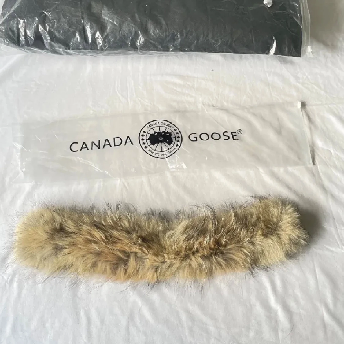  Canada Goosee Wyndham parka  - 2