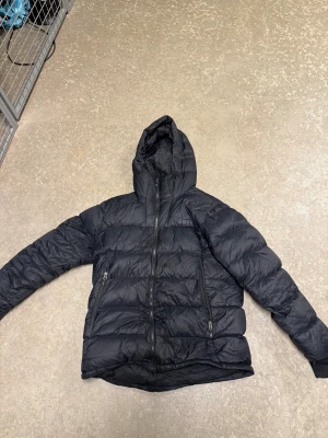 Svart pufferjacka från EQPE - Svart pufferjacka från EQPE med huva och två sidofickor med dragkedja. Jackan har quiltad design och är tillverkad i polyester, perfekt för kalla dagar. Snygg röd EQPE-detalj på ärmen och insidan. Passar dig som gillar en lite loose stil.