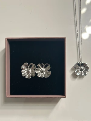 Edblad smycken - Matchande halsband och örhängen från Edblad! Använda cirka två gånger. Orginalpris 800kr 😍