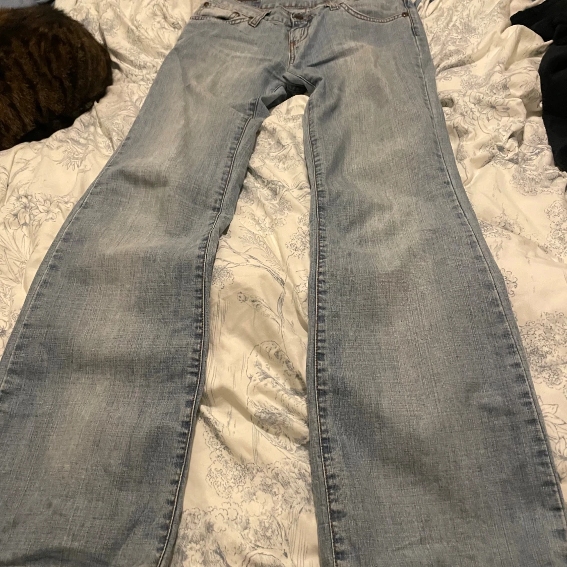 Ljusblå bootcut jeans från Dallas Jeans