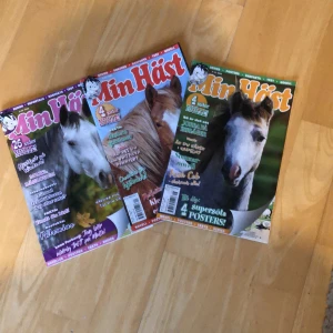 Min Häst - Färgstarka och inspirerande hästtidningar fyllda med serier, fakta om hästar, roliga tester, posters och noveller. Perfekt för dig som älskar hästar och vill ha både underhållning och kunskap om ridning, hästraser och livet i stallet. Men även till dig som vill läsa något spännande! Pris kan diskuteras! Bara hör av dig till mig.