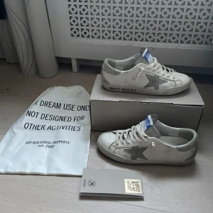 Golden goose - Golden goose