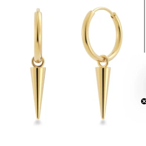 Edblad  - Säljer ett par Edblad Örhängen. Örhängerna är i ett jätte bra skcik!!💕