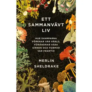 Anrika vetenskapsakademin Royal Societys pris för bästa populärvetenskapliga bok 2021.En livsform så märklig och förunderlig att den får dig att se livet på ett helt nytt sätt. Hur kommer det sig att en japansk forskare kan påstå att en slemsvamp är smartare än människor? Och vad har det med IKEA att göra? Kan det verkligen stämma att den största kända svampen på jorden täcker en yta större än 10 kvadratkilometer? Och vad har bläcksvampar egentligen att göra med produktionen av den här boken? Varken växt eller djur, svampar finns överallt på jorden, i luften och i våra kroppar. De kan vara mikroskopiska och samtidigt är några av världens största organismer svampar 10 kvadratkilometer stora, 35 000 ton tunga och över 2 000 år gamla. Svampars förmåga att äta sten lade grunden för det första livet på land, och under 40 miljoner år var det väldiga formationer av svampar som dominerade världens yta. Svampar kan överleva i rymden och frodas i radioaktiv strålning. Svampar kan lösa problem utan någon hjärna och vidgar alla definitioner av intelligens. De kan manipulera djur på sätt som är så imponerande att vi ännu inte förstått fullt ut hur det går till. Upptäckten av hur svampar förenar växtlivet på planeten i ett massivt nätverk Wood Wide Web håller på att omforma hela vår syn på hur icke-animaliskt liv fungerar. Genom att ha gett människan bröd, alkohol och livräddande mediciner har svamparna omformat vår arts historia. Dess förmåga att förtära plast, sprängmedel, gifter och råolja har börjat användas i teknikens absoluta framkant. Svamparnas psykedeliska egenskaper, som påverkat kulturer sedan antiken, har nyligen visat sig bära på tänkbara lösningar på några av våra svåraste mentala sjukdomar. Och ändå har vi knappt kartlagt en bråkdel av de miljoner arter av svampar som lever på jorden. I sin omvälvande upptäcktsfärd tar Merlin Sheldrake oss med in i den spektakulära och okända värld som är svamparnas. Följ med och lär dig om organismerna som skapat vår värld och som är i fullt fart med att forma vår framtid.    Format Inbunden   Omfång 402 sidor   Språk Svenska   Förlag Volante   Utgivningsdatum 2021-08-17   Medverkande Jim Jakobsson   ISBN 9789189043596  
