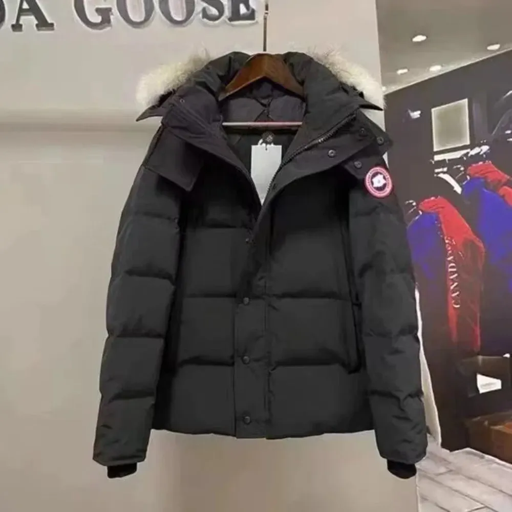 Säljer en snygg och varm dunjacka från Canada Goose. Jackan har en fluffig päls på huvan och är perfekt för kalla vinterdagar. Finns i flera färger som svart, blå, grå och vit. Den har en dragkedja och knappar framtill för extra skydd mot kylan. Perfekt för vintern! ❄️. Jackor.