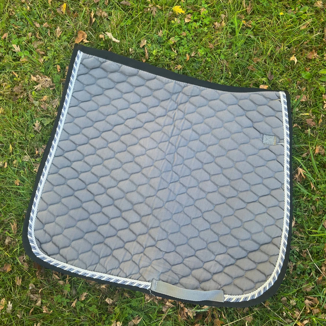 dressyr schabrak stl full