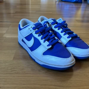 Dunk low retro - Dunk low använda ett fåtal gånger, använder ej.