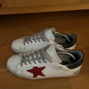 Golden goose  - Golden goose skor sällsynta