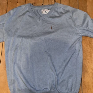 Ljusblå tröja från Haywood - Säljer en stilren ljusblå tröja från Haywood med v-ringning och ett broderat hjortmotiv på bröstet. Tröjan har långa ärmar och är perfekt för en avslappnad look.