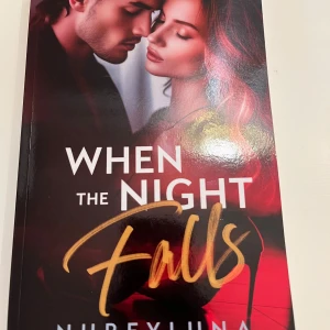 When the Night Falls - Som ny och inga slitage. Har fler böcker till salu på min profil