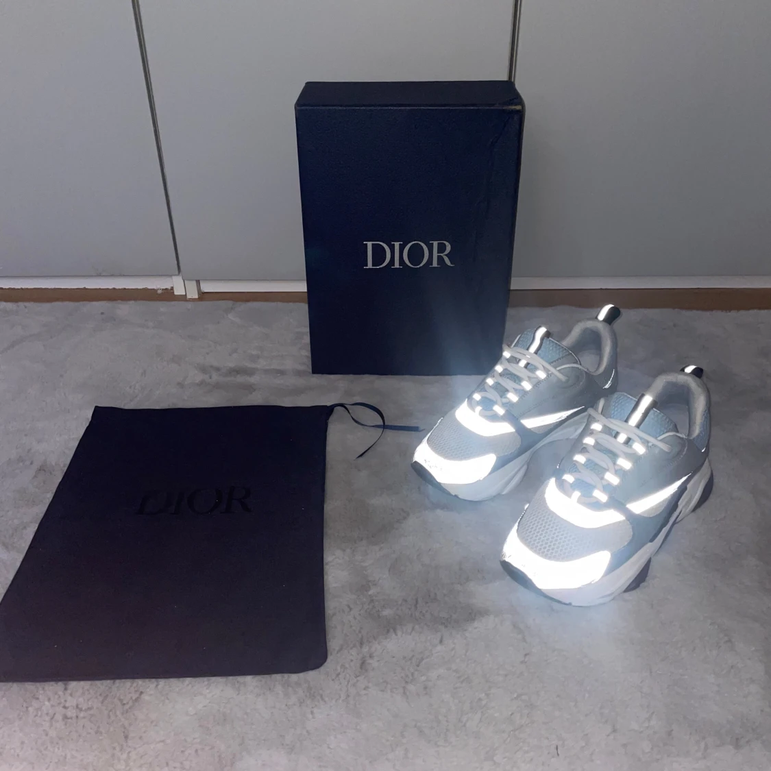 Dior b22
