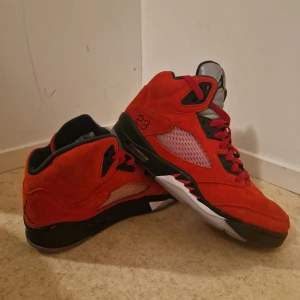 Nike Air Jordan 5 Retro Red - Säljer mina Nike Air Jordan 5 Retro Red, dem är helt nya använt 2 gånger. 10/10 på skorna. Nytt pris 4000 mitt pris 2500 . Har två skor en med storlek 41 och en med 42.