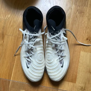 Använda en gång  - Helt nya Nike skor Påse kommer med