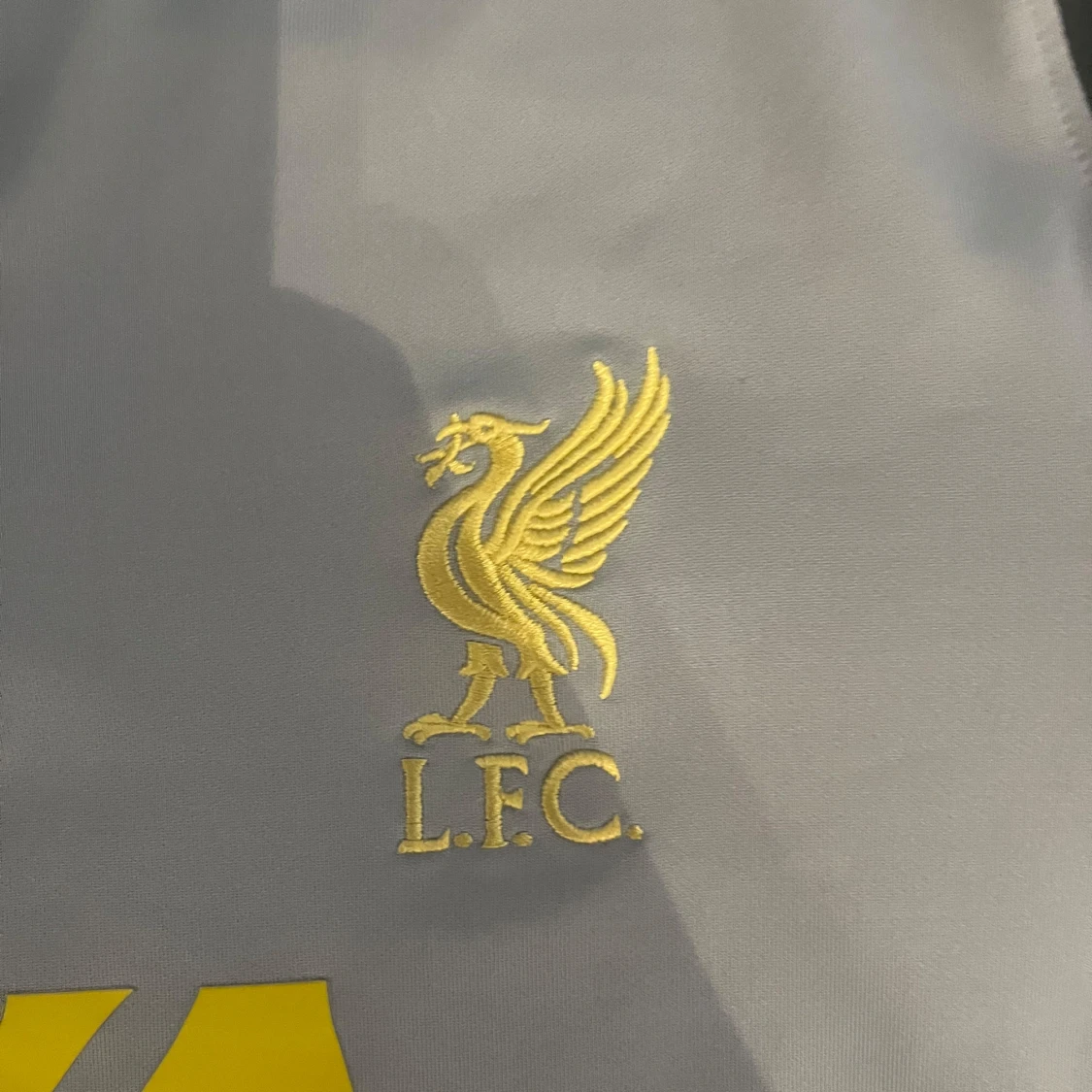 Liverpool tränings tröja  - 91