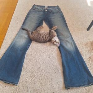 True religion jeans med svart söm - Lågmidjade True religion jeans med svart söm i storlek 25. De är i modelen JOEY och är väldigt flare. Säljer dom dyrt då de är ganska ovanliga och jag inte vill sälja dom egentligen men behöver pengar. Priset går att förhandla. Skriv vid frågor <3 