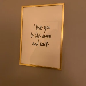 Tavla  - 31x22, svart text med guldram. Får med både ram och tavla i priset 