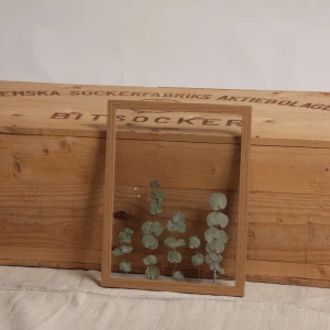 Daisy tavla - Stilren tavla🌿💗