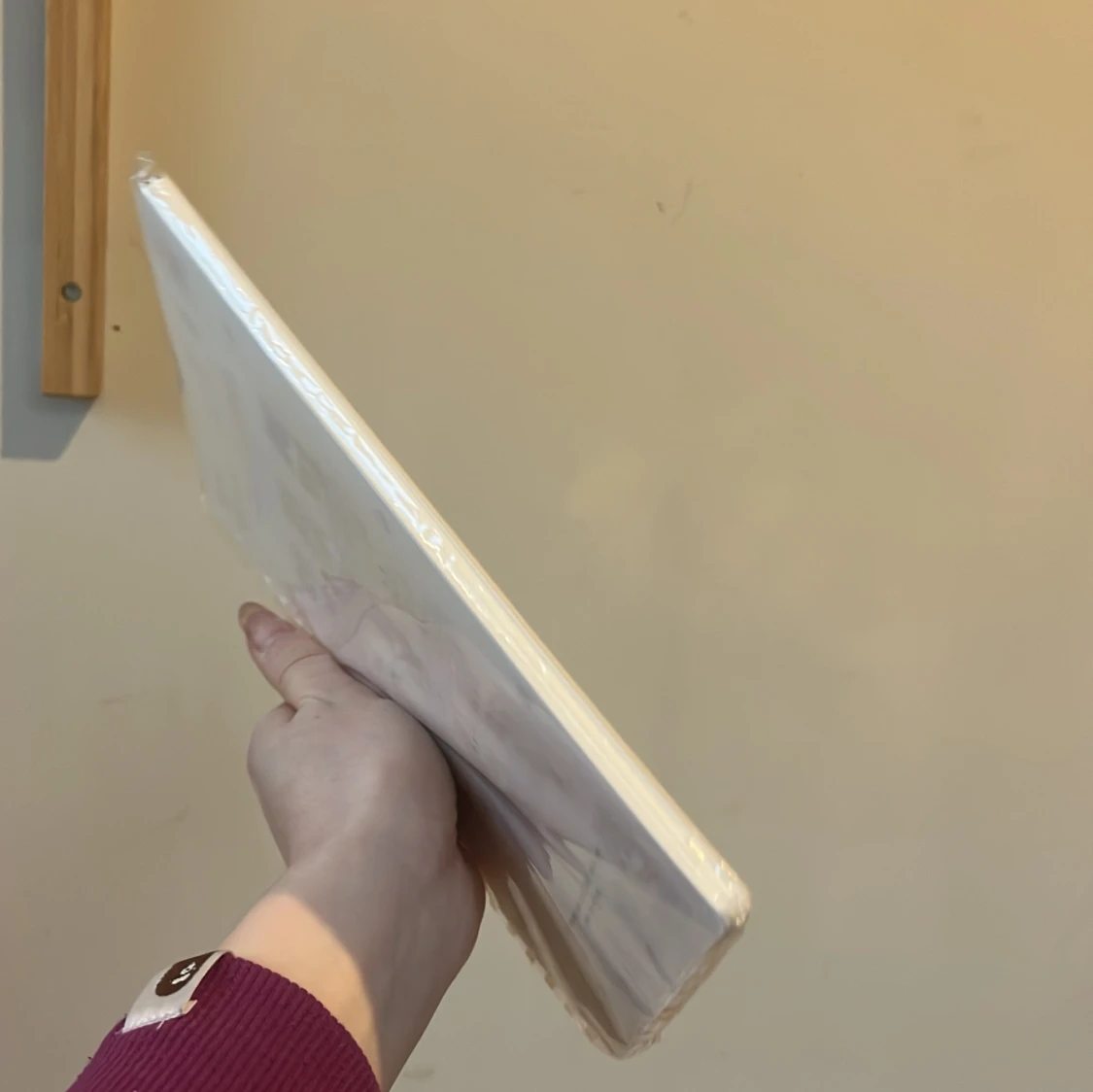 Cat Gorasa anteckningsbok - 91