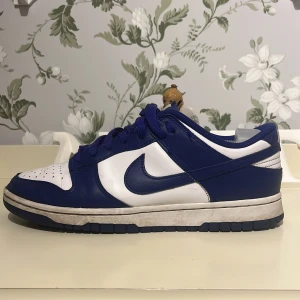 Nike skor (dunks/low) - Storlek 42 ganska använda men i helt okej pris Varma passar alla årstider och väldigt trendigt (Man) nypris 1600 på Nikes hemsida.