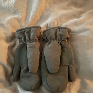 Svarta vintervantar - Säljer ett par grå vintervantar i tumvantsmodell. De har ett mjukt och fluffigt foder som håller händerna varma under kalla dagar. Perfekta för när man rider o vill hålla sig varm
