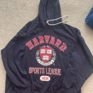 Harvard hoodie  - Cool hoodie från hm! Säljs i befintligt skick 💜