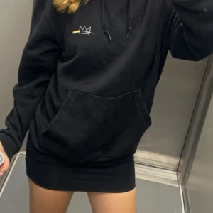 Hov1 mertch! - Säljer denna fina hov1 mertch hoddien som är använd av mig endast fåtal gånger och en konsert, köpte den av en tjej här på Plick men den är i bra skick❤️
