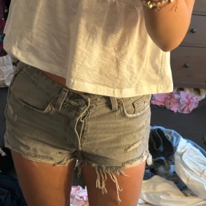 low waist shorts  - typ nya