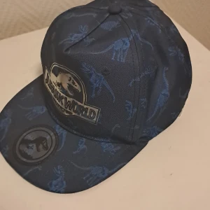 Blå Jurassic World keps - Cool blå keps med Jurassic World-logga och dinosauriemönster. Justerbar passform med snapback-stängning. Perfekt för fans av dinosaurier och äventyr!
