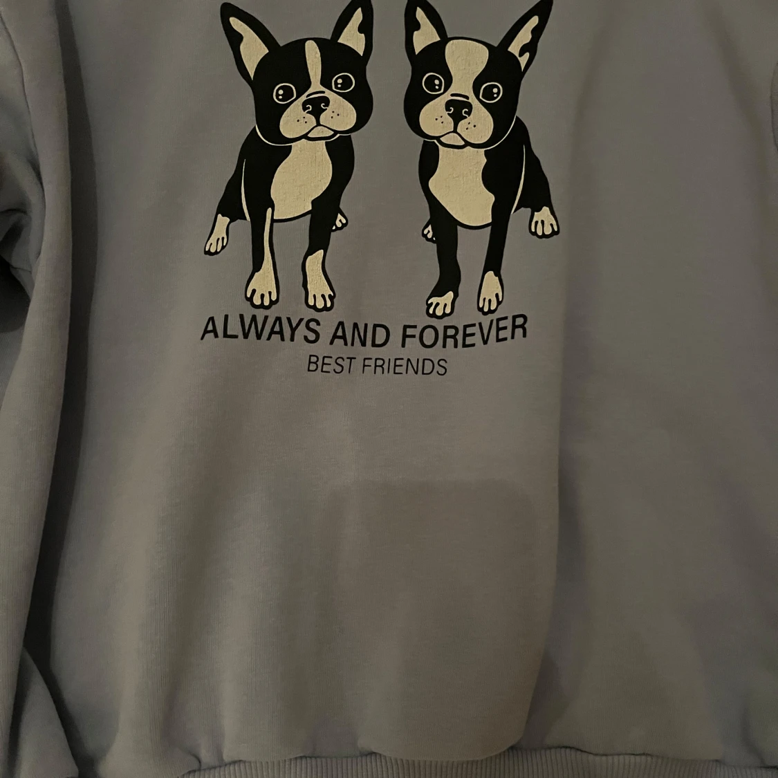 Tjocktröja med tryck 