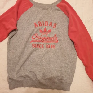 Tröja - En grå tröja med röda ärmar och en stor logga på framsidan. Tröjan har en rund halsringning och långa ärmar. Säljs för 50