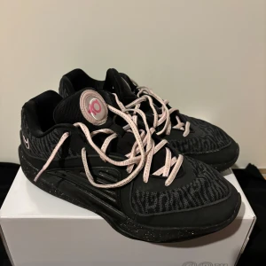 Kd 16 - Bra skick, Custom gjorda på Nike, Stl 44, skicka för fler bilder