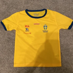En Sverige tröja - Den är i bra skick 
