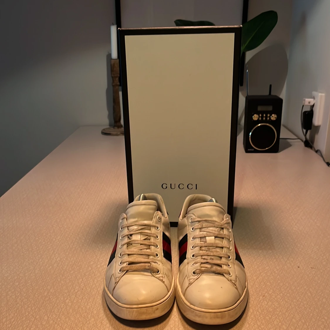 Gucci ace