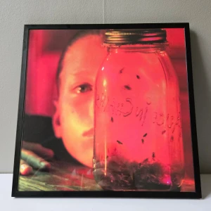 Alice In Chains - Albumaffisch, 31.5x31.5cm - Alice In Chains - Jar Of Flies albumaffisch, 31.5x31.5cm.  Helt ny - Passar bra i IKEAs tavelram Lomviken!  Skickas i papprulle - Ramen ingår inte!