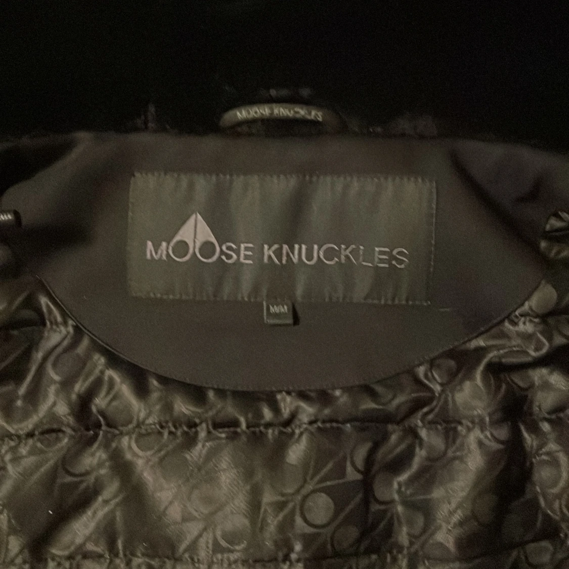 Moose knuckles bunny - 3