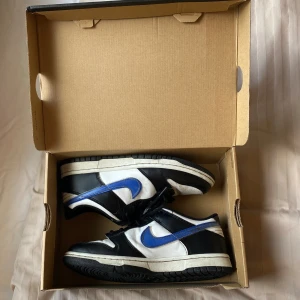 Nike dunk low - Bara att skriva vid frågor:)