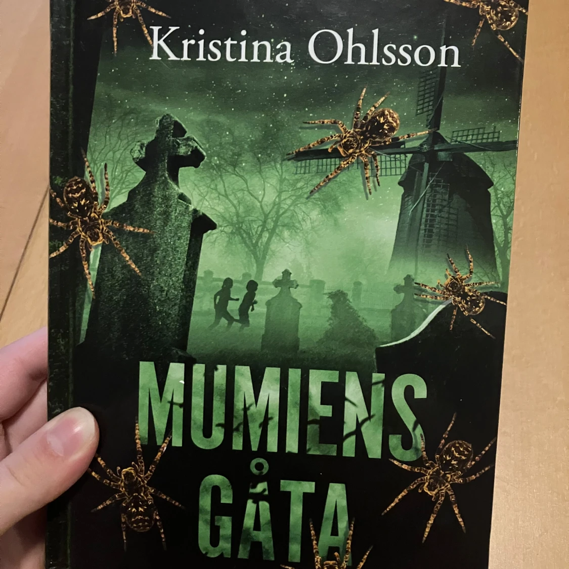 Bok - ”Mumiens gåta”