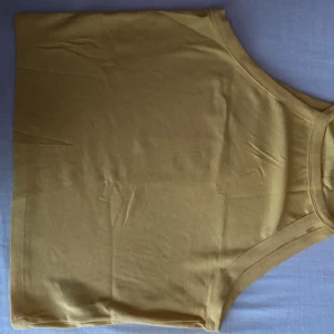 Beige ärmlös linnetopp - Säljer en enkel och stilren beige linnetopp. Perfekt för sommardagar eller som ett basplagg i garderoben. Toppen är ärmlös och har en rund halsringning.