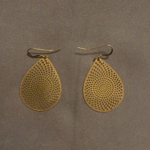 Guldiga örhängen  - Bra skick ✨