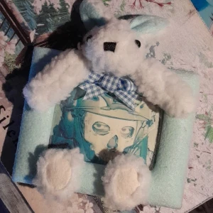 Ram med kanin - En ljusblå, liten ram med en vit kanin runtom (och en jättefin bild på Ghost, den kommer med 💜).